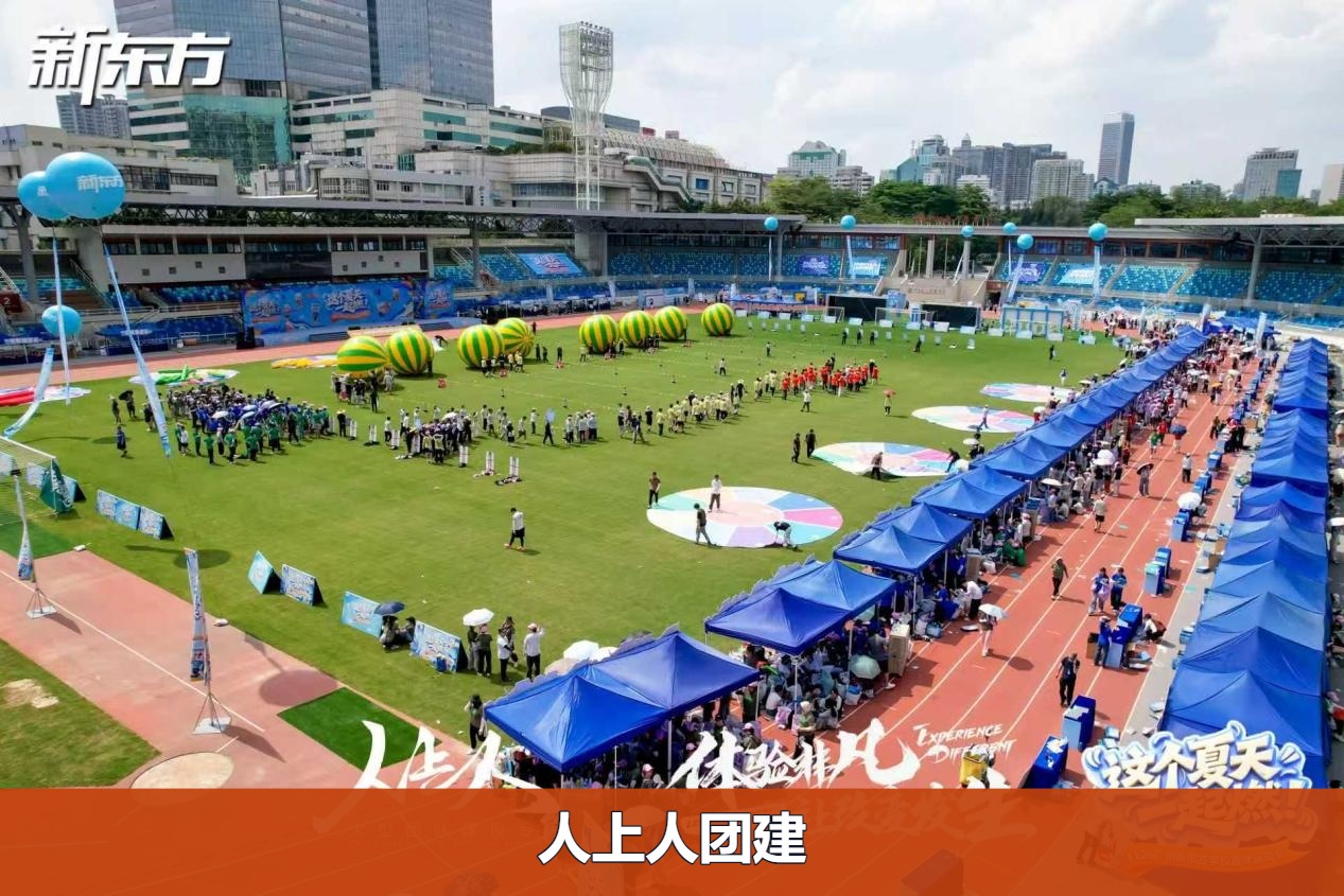 团建案例-新东方