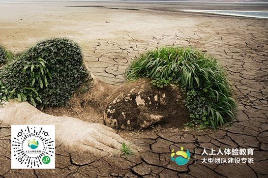 植树节丨行动起来，让地球不流浪